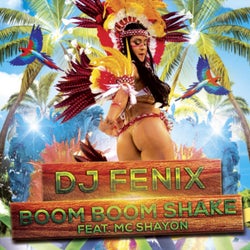 Boom Boom Shake (feat. Mc Shayon)