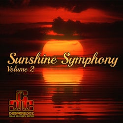 Sunshine Symphony, Vol. 2 (Best Selection of Lounge & Chill House Tracks)