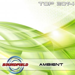 Ambient Top 2014