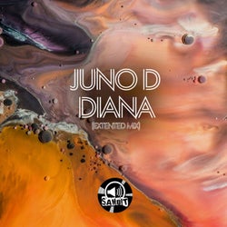 Diana (Extended Mix)