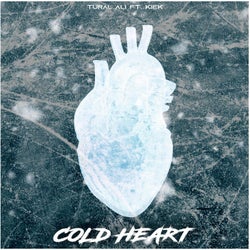 Cold Heart (feat. Kiek)