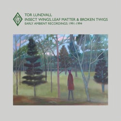 Insect Wings, Leaf Matter & Broken Twigs: Early Ambient Recordings (1991-1994)