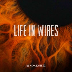 Life in Wires