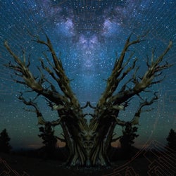 Rings of Life