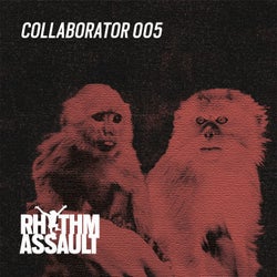 Collaborator 005