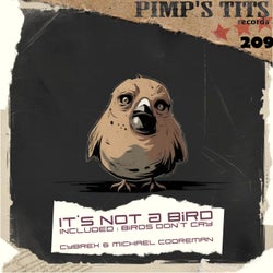 It's Not a Bird
