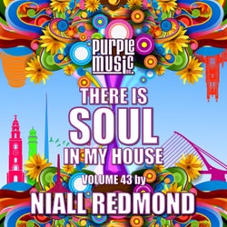Niall Redmond Presents There is Soul in My House, Vol. 43