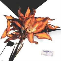 Florilegi II