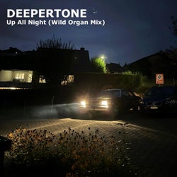 Up All Night (Wild Organ Mix)