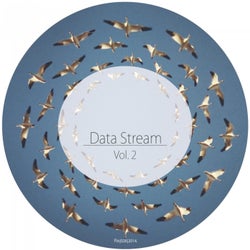 Data Stream, Vol. 2