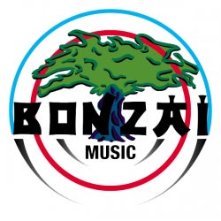 My Bonzai Chart 2013 Pt.1
