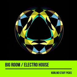 NDRLND Staff Picks: Big Room / Electro House
