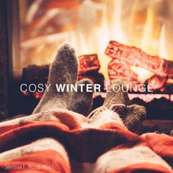 Cosy Winter Lounge, Vol. 2