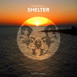 Shelter