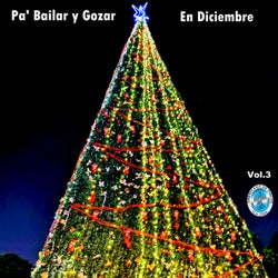 Pa' Bailar y Gozar en Diciembre, Vol. 3