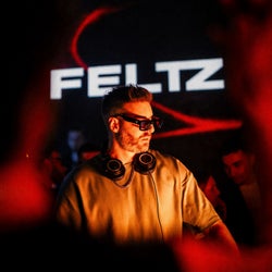 FELTZ ID's