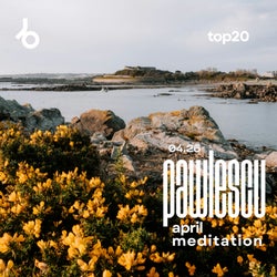 Pawlescu - April Meditation [TOP20]