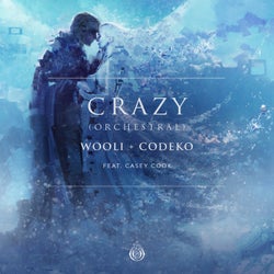 Crazy (feat. Casey Cook) [Orchestral]