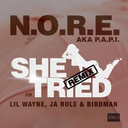 She Tried (feat. Lil Wayne, Ja Rule & Birdman) - Single
