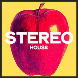 Stereo House (Top House 2020 Winter Selection)
