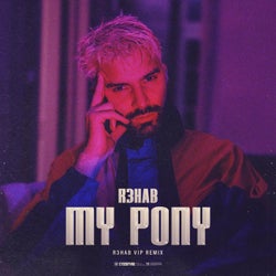 My Pony (R3HAB VIP Remix) (Extended Version)