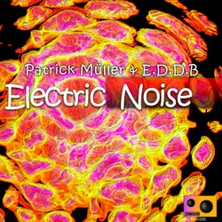 Electric Noise