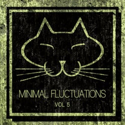 Minimal Fluctuations, Vol. 5