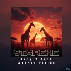 Starehe