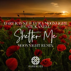 Shelter Me (Moonnight Remix)