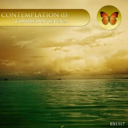 Contemplation 03