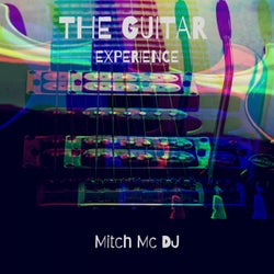 The Guitar Experience