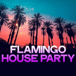 Flamingo Party (House Music Night By Ibiza)