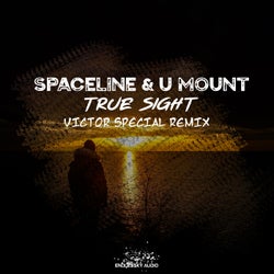True Sight (Victor Special Remix)