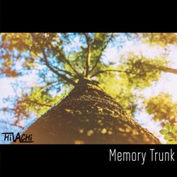 Memory Trunk