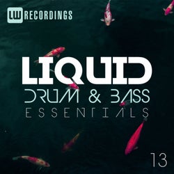 Liquid Drum & Bass Essentials, Vol. 13
