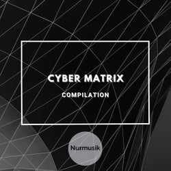 Cyber Matrix