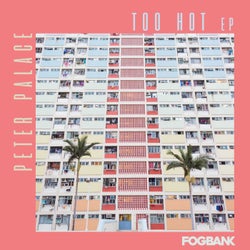 Too Hot EP