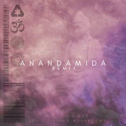 Anandamida (Remix) (feat. Fishing Mushrooms)