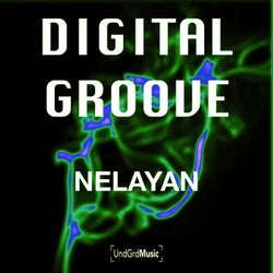 Digital Groove