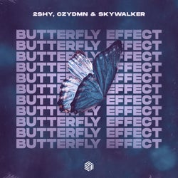 Butterfly Effect