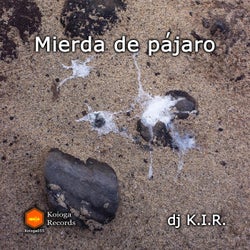 Mierda de pajaro