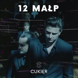 12 małp