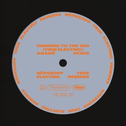 Running To The Sea (feat. Susanne Sundfor) [Aname Remix]