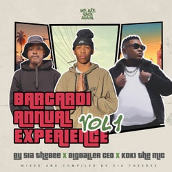 Bacardi Annual Experience Vol 01