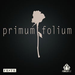 Primum Folium