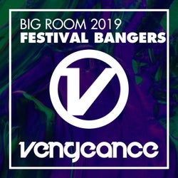 Big Room 2019 - Festival Bangers