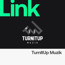 LINK Label | TurnItUp Muzik