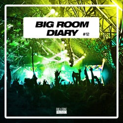 Big Room Diary, Vol. 12