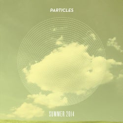 Summer Particles 2014
