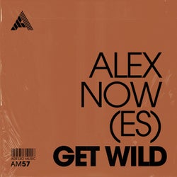 Get Wild - Extended Mix